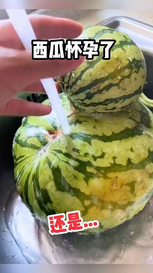 广东梅州吃瓜搞笑视频,笑料百出，瓜香四溢！