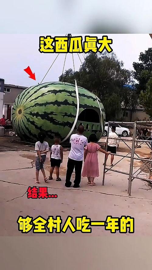 广东梅州吃瓜搞笑视频,笑料百出，瓜香四溢！
