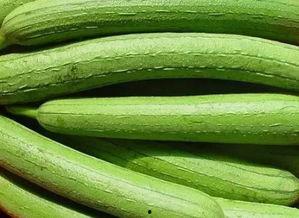 吃树瓜有哪些功效呢视频,揭秘吃树瓜的五大神奇功效