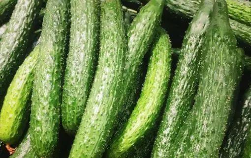 刺瓜很苦可以吃吗视频教程,视频教程揭秘食用技巧