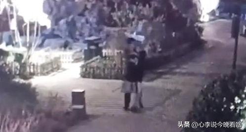 新沂吃瓜侦探事件视频,揭秘网络事件背后的真相