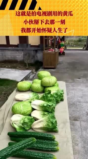 吃瓜视频黄瓜,黄瓜界的“网红”新宠