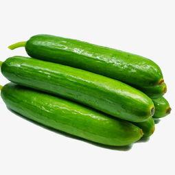 绿树吃瓜的视频下载,揭秘植物界的“美食”奇观