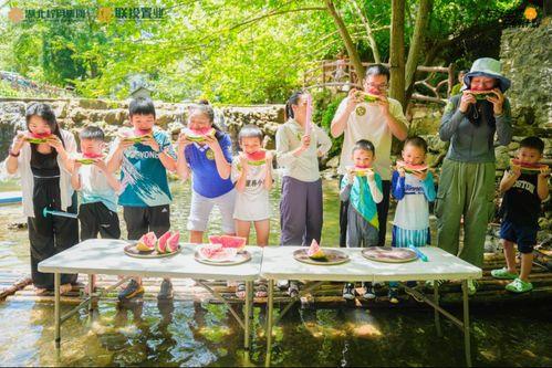 邻里中心吃瓜大赛视频,一场别开生面的吃瓜大赛盛况