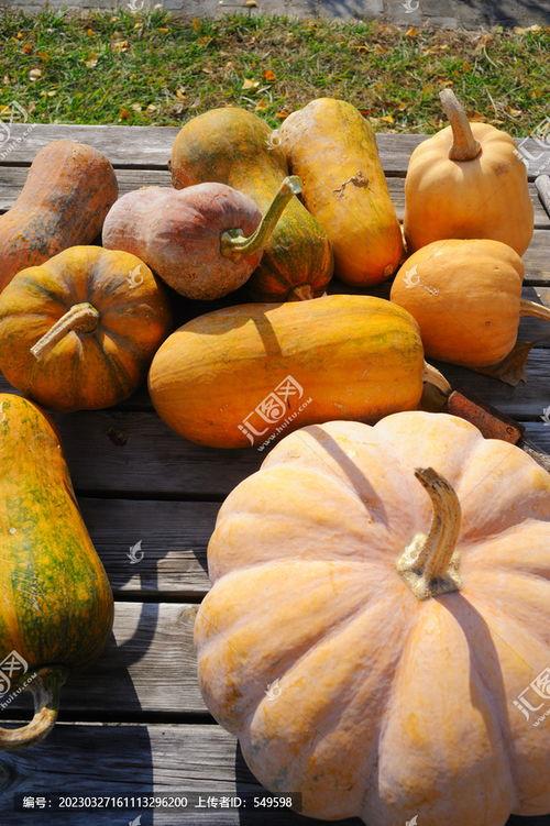 农村吃瓜视频素材下载,短视频素材背后的故事