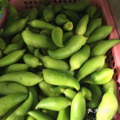 槐树瓜怎么吃的图片视频,图片视频教你轻松上手