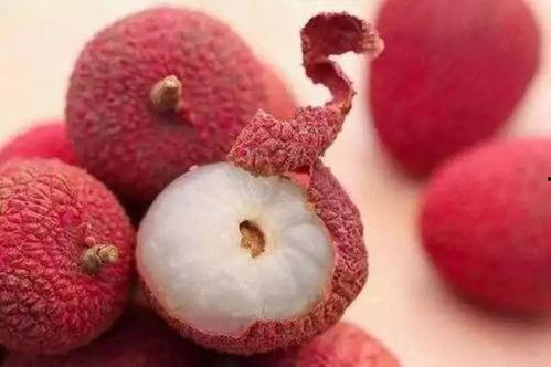 一颗荔枝吃瓜视频大全,趣味视频全集来袭