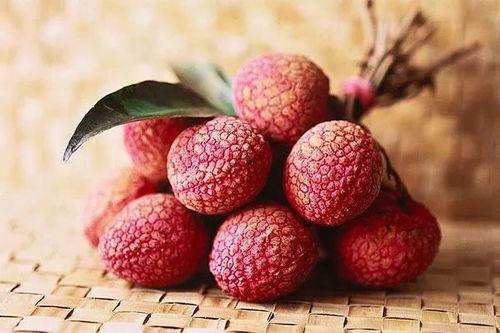 一颗荔枝吃瓜视频大全,趣味视频全集来袭