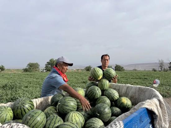 一中网课吃瓜视频,一场意外的“课堂狂欢”
