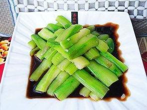 蛇瓜吃货视频下载安装,探索神秘美食，下载安装体验独特风味