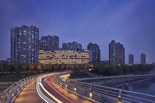 南京世贸滨江吃瓜视频,一场网络热议的街头奇观