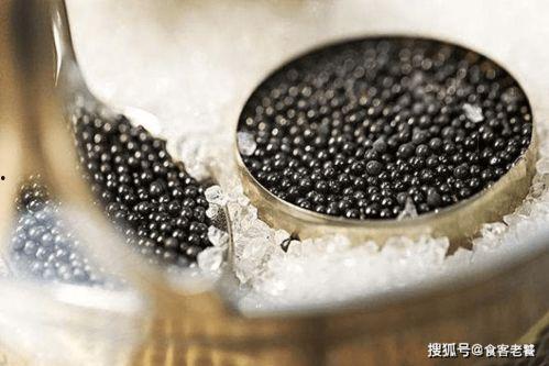 吃怪兽的鱼子酱的瓜视频,吃怪兽鱼子酱的奇幻之旅