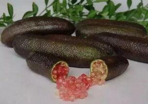 吃怪兽的鱼子酱的瓜视频,吃怪兽鱼子酱的奇幻之旅