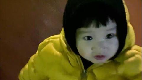 吃瓜幼崽真人视频下载,热门话题背后的真相