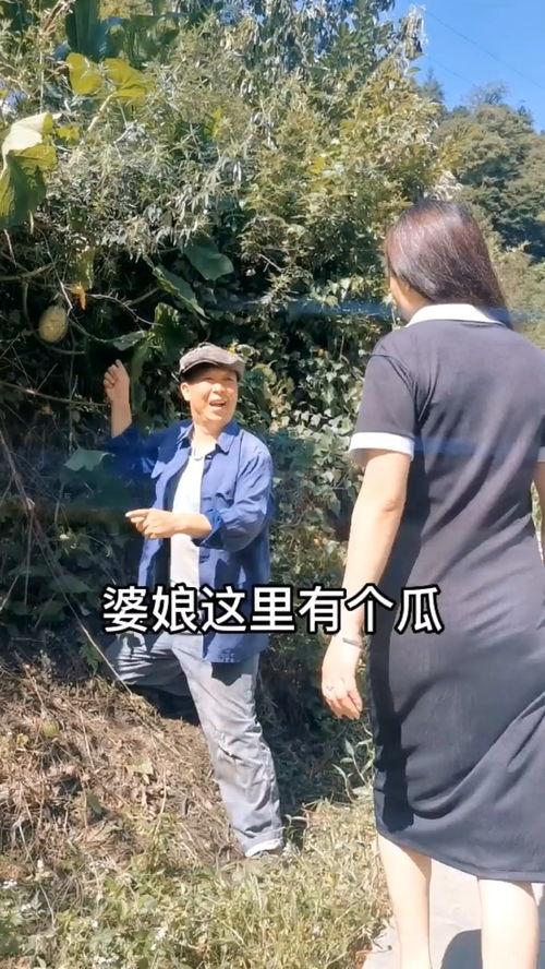 吃瓜不能错过的视频搞笑,笑料横生！吃瓜群众必看的搞笑视频盘点