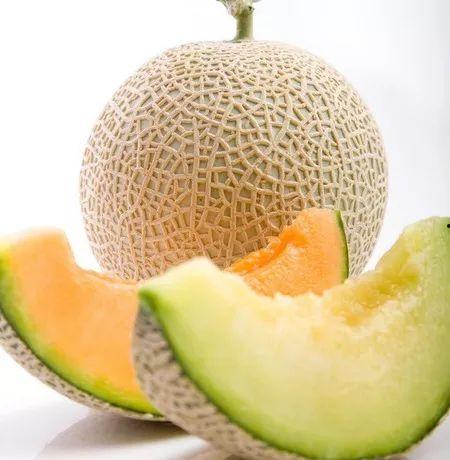 吃哈密瓜唱歌视频大全播放,视频大全播放亮点回顾