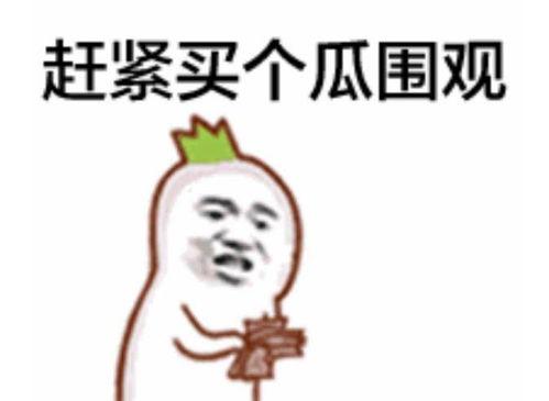 吃瓜视频群众上线舔屏,舔屏围观热门事件