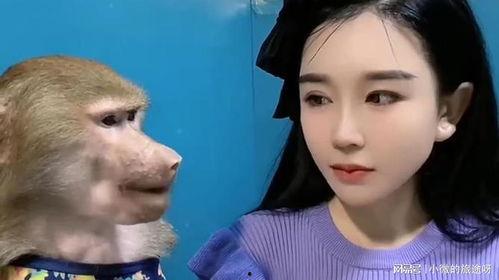 主播吃瓜吃成猴子视频,意外变身“猴子”引网友热议