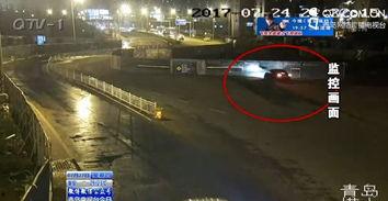 吃瓜路人看热闹视频,揭秘看热闹视频背后的社会现象