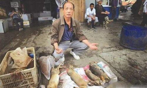 乡下聚集吃瓜事件视频,揭秘农村集体娱乐现象背后的故事