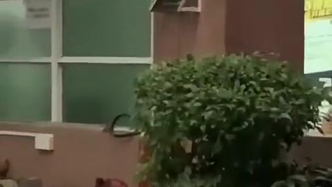 来宾吃瓜新闻视频大全,来宾吃瓜新闻视频大全，揭秘娱乐圈幕后故事