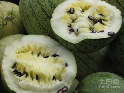 专门吃籽瓜的视频,一口咬下，尽享田园滋味