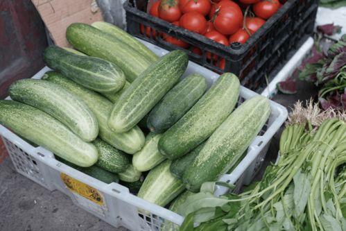 吃瓜的塔塔呀最新视频,笑料百出，趣味横生！