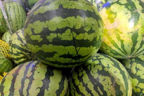 快切开瓜吧吃瓜视频,揭秘热门视频背后的趣味与真相