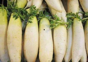 白吊瓜怎么吃最好吃视频,视频教你如何吃出最佳口感