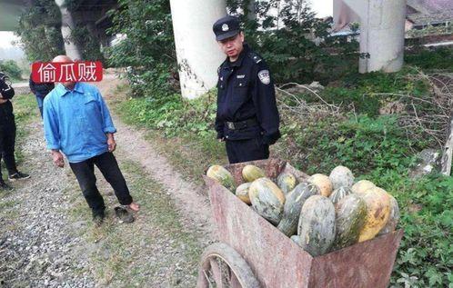 康县女子吃瓜事件视频曝光,视频曝光引发社会关注与热议