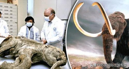 最近吃瓜科学家视频,最新视频带你一探究竟