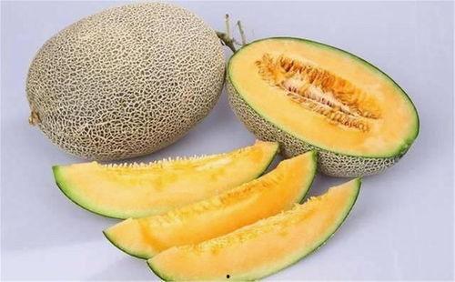 蜜瓜姐姐吃海底捞视频在哪里看,美食之旅，尽享火锅盛宴