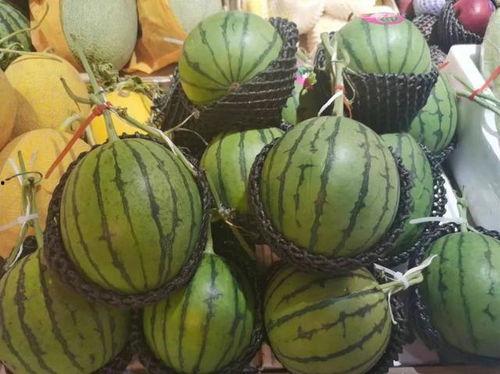 小石头吃瓜视频,揭秘娱乐圈幕后故事