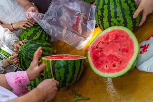 吃瓜吃干净视频,揭秘“吃瓜吃干净”视频背后的趣味与智慧