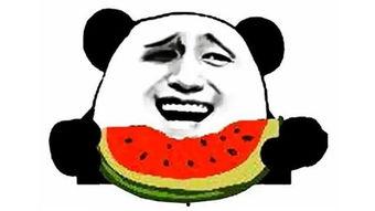 吃瓜搞笑视频封面图片,带你领略欢乐瞬间