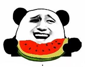 吃瓜群众夜晚素材视频,揭秘夜晚素材视频中的热门话题