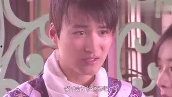 胖子吃瓜视频全集,揭秘娱乐圈幕后真相，笑料百出全集回顾