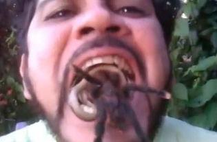 吃瓜的被扇嘴巴子视频大全,吃瓜群众遭遇“嘴巴子”事件大盘点