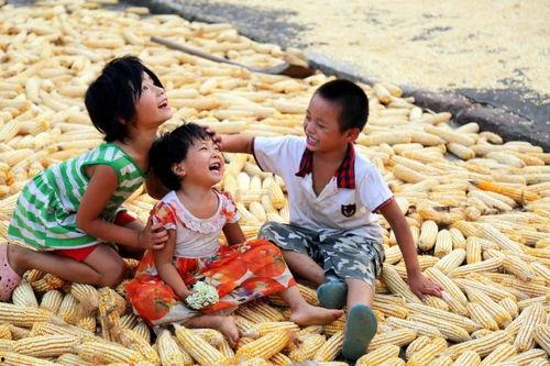 穷人吃瓜视频大全,瓜视频大全趣味盘点