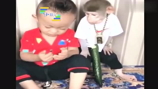 吃瓜吐籽搞笑视频下载,欢乐无限