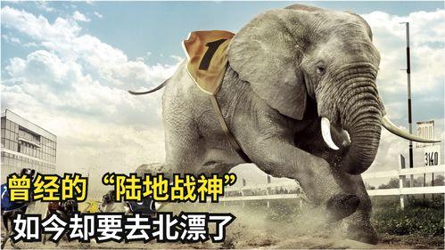 吸血猴精吃瓜视频大全集,趣味视频全集盘点