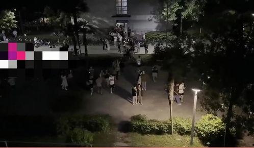 吃瓜跳舞转场视频大全,趣味视频大全集锦