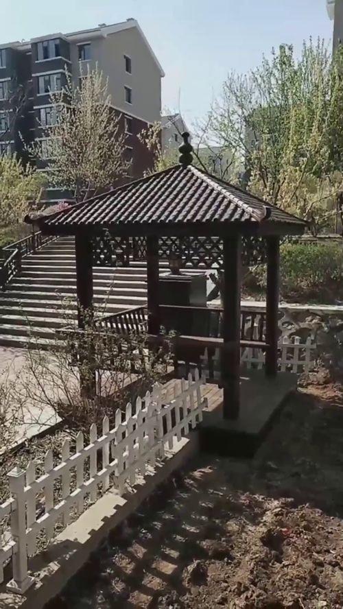 吃瓜凉亭视频大全,揭秘热门视频背后的趣味故事