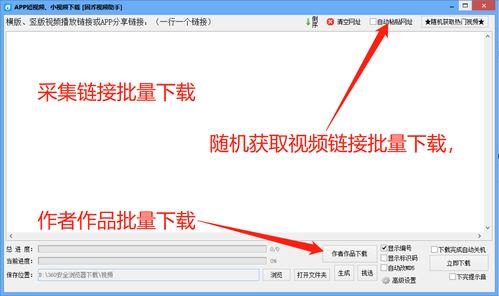 吃瓜博雅视频下载链接,独家视频下载链接大公开！