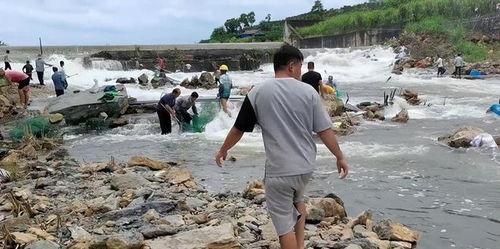 广西水利吃瓜事件视频曝光,真相与争议交织的舆论漩涡