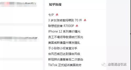 吃瓜引流视频软件