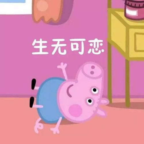 吃瓜群众小猪妹视频大全,趣味横生的欢乐时光