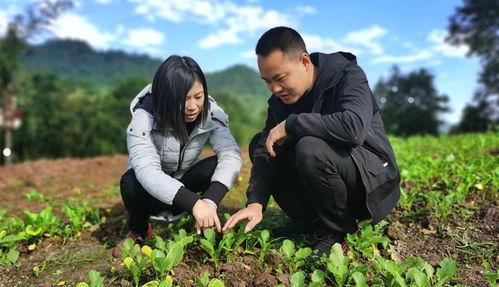 草坝镇吃瓜事件视频,一场引发热议的网络狂欢